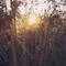 隐私设置
